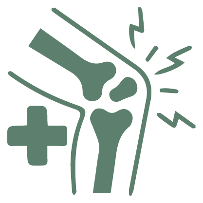 SVG Icon