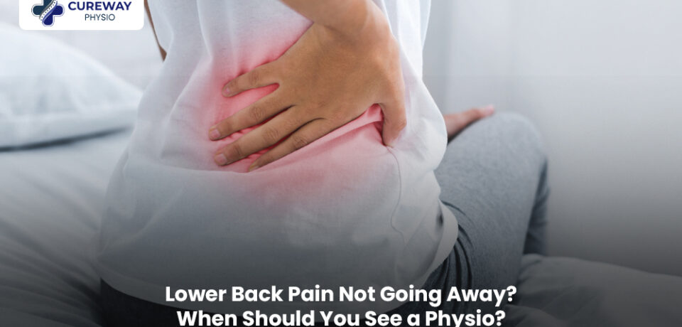 Lower Back Pain Not Going Away? When to See a Physio Physiotherapist helping a patient with persistent lower back pain
